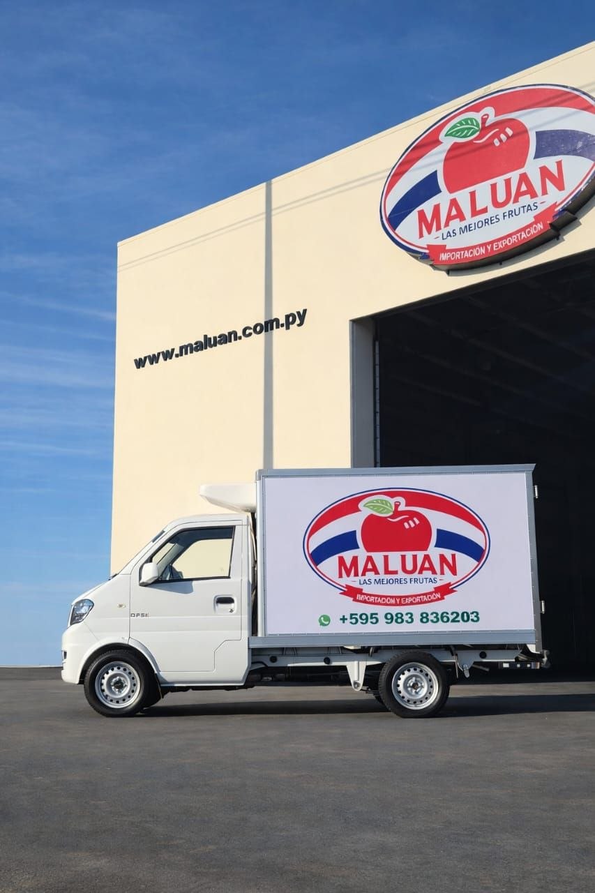 Selección y entrega de manzanas Maluan